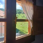 Elena *